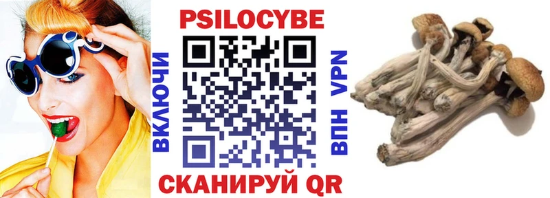 где найти   гидра вход  Галлюциногенные грибы мухоморы  Сосновый Бор 