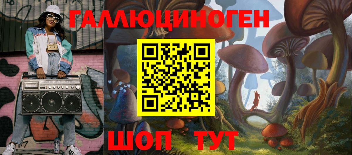 Псилоцибиновые грибы Psilocybe Сосновый Бор