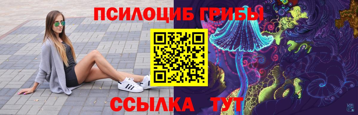 Галлюциногенные грибы мицелий Сосновый Бор