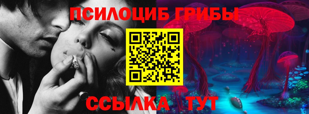 Псилоцибиновые грибы прущие грибы  Сосновый Бор  Галлюциногенные грибы мицелий 