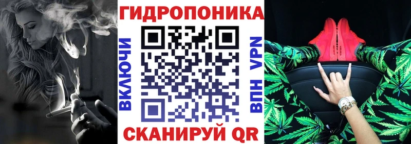 Бошки Шишки семена  Сосновый Бор 